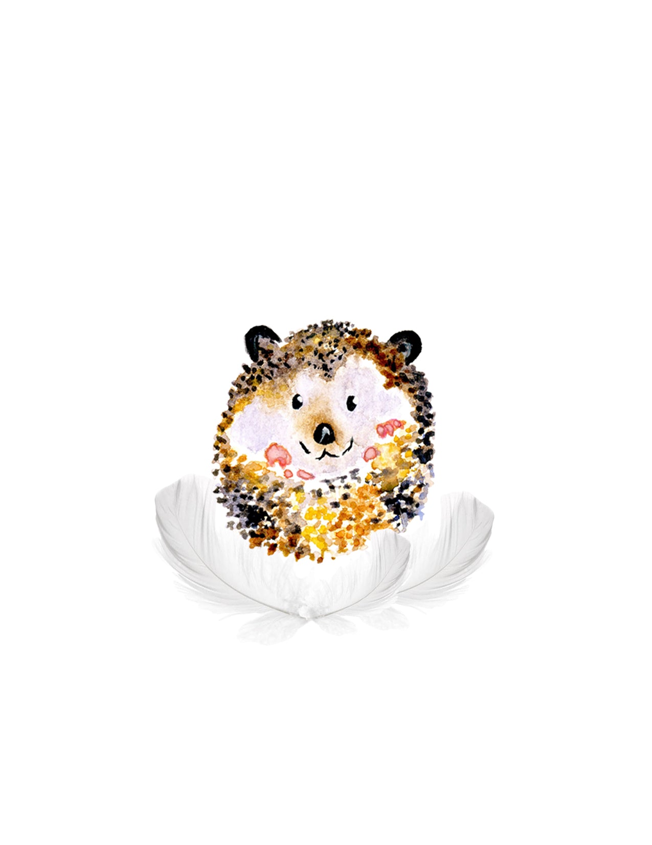 Hedgehog with Feathers