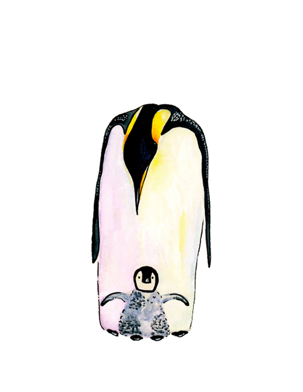 Penguin and Baby