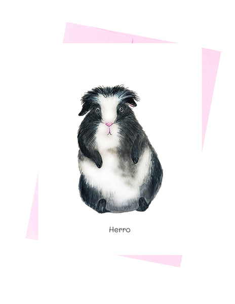 Guinea Pig