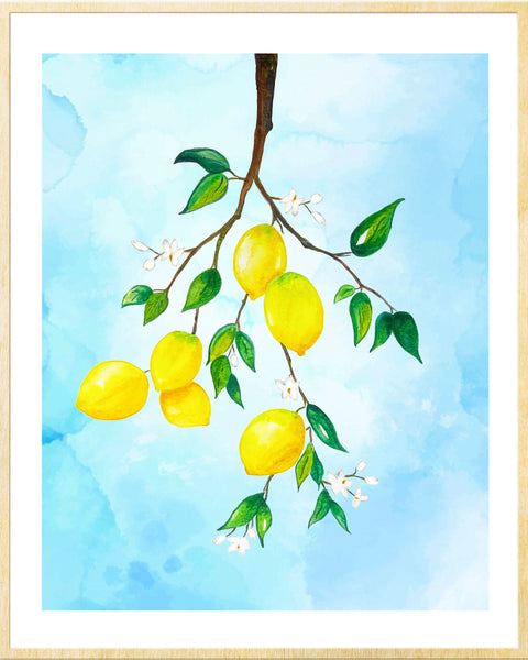 Lemon Branch