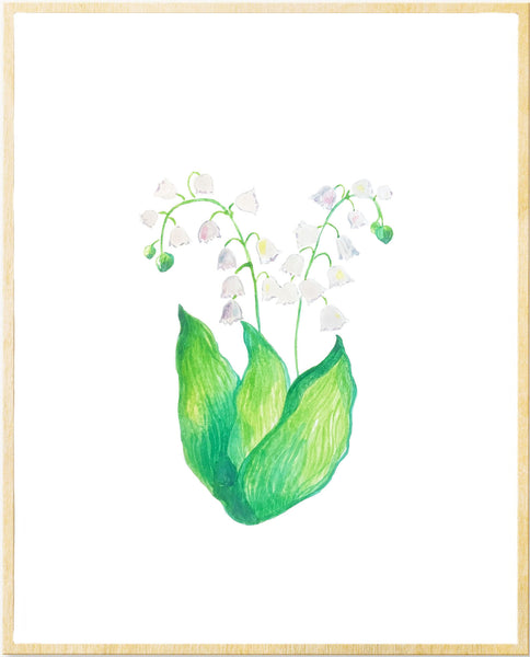 Lily of the Valley